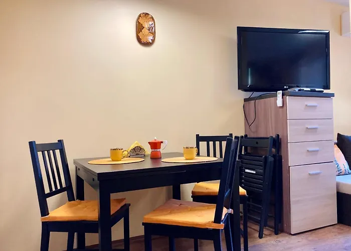 Studio Chez Nous * Rogachevo